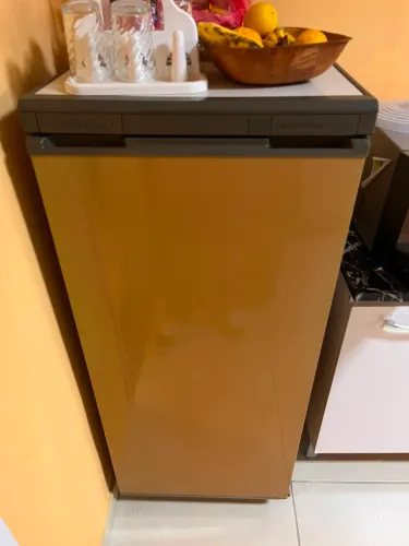 FREEZER PROSDOCIMO 172L 
