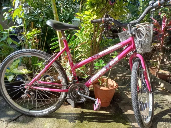 Bicicleta Houston 