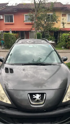 Peugeot 207 SW XR 1.4 Flex 8V 5P 2009