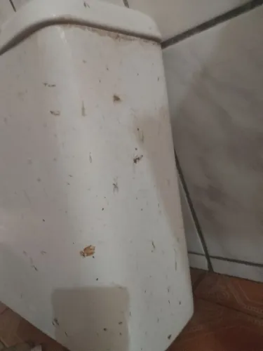 Caixa completa acoplada de banheiro