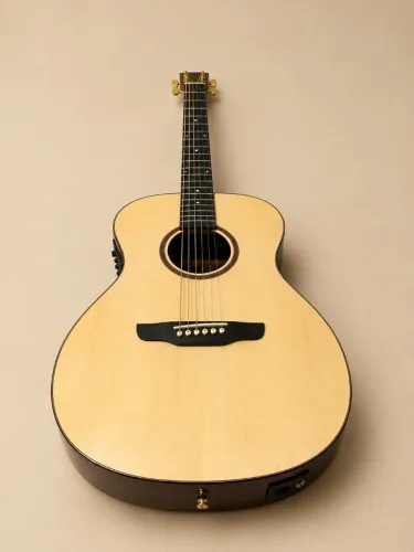 Violão Rozini Premium RX220 (Tampo Maciço + Captação Fishman) - PRONTO PARA TOCAR!