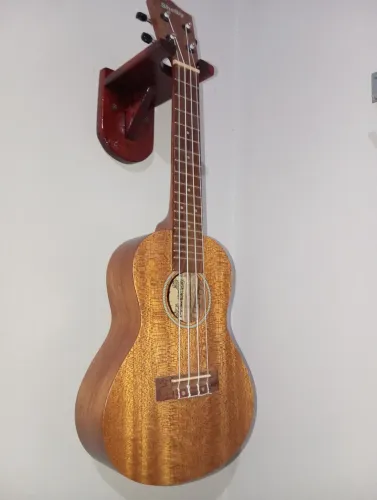 Ukulele Shelby Concert