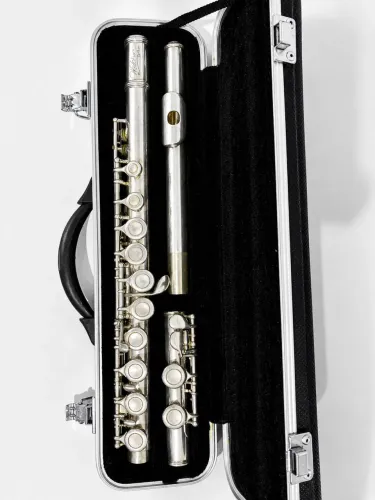 Flauta Transversal Waldman Silver