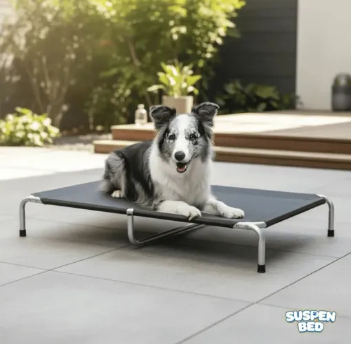 Cama suspensa para cachorro tamanho g 