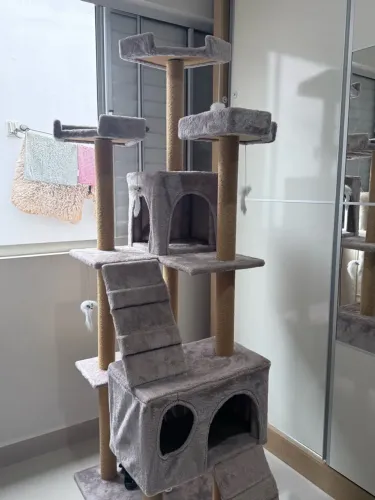 brinquedo de gato