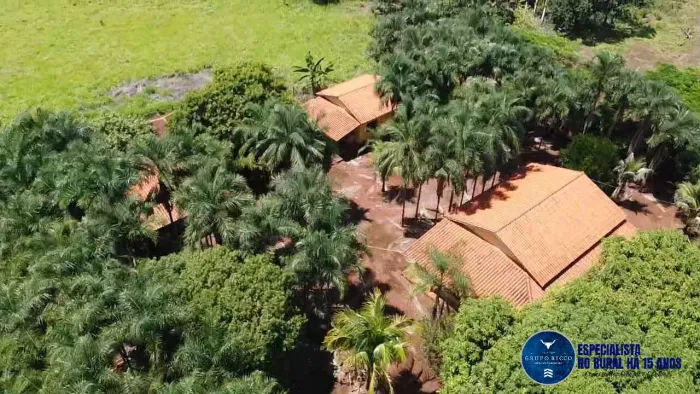 Fazenda à Venda em Acreúna-GO | 27 Alqueires | 20 Alq em Soja