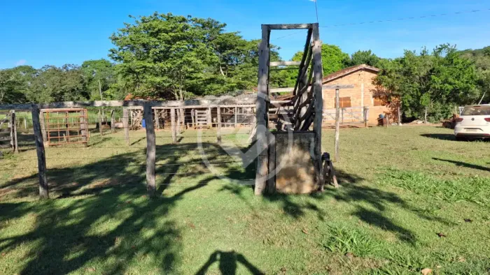 Chácara com 4 alqueires à beira do Rio Piracanjuba em Caldas Novas-GO codigo: 351509