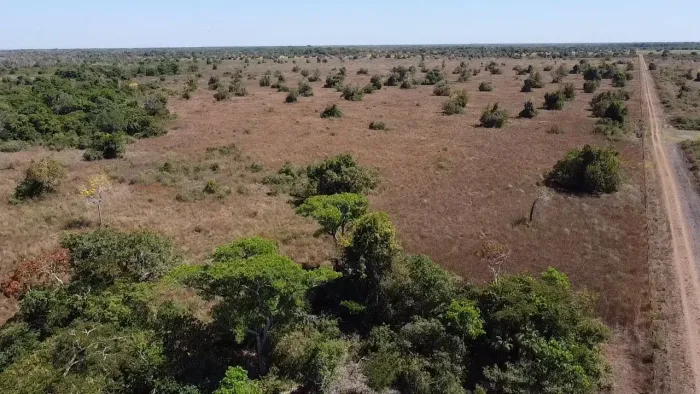 Fazenda à Venda no Vale do Araguaia  54 Alqueires | Rio na Divisa