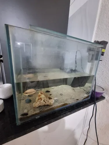 Aquario 25 Litros completo