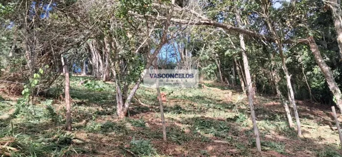 Terreno em Jambeiro