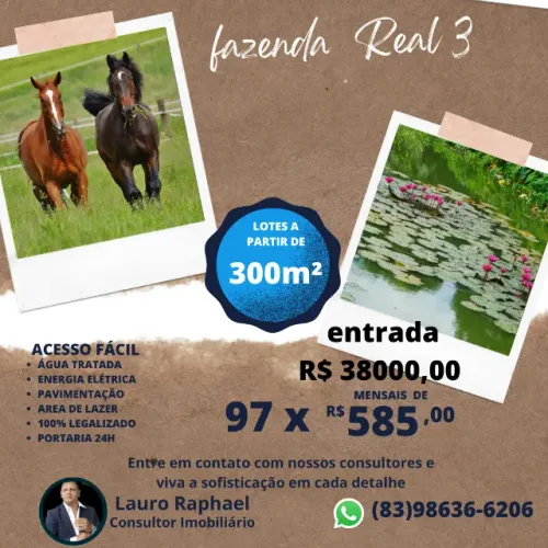 Fazenda Real 3 - melhor preço e condiçoes