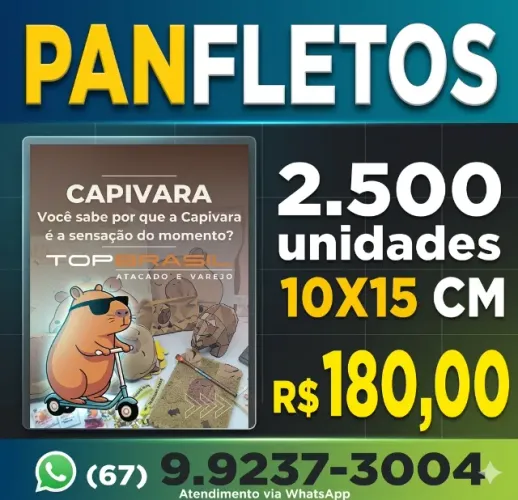 panfletos millheiros