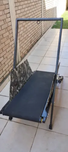 Esteira para cachorro