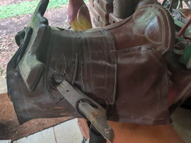 arreio de cabeça ou sela cutuca/cutiano com cabeça