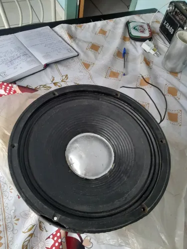 Alto  falante 12 polegadas 