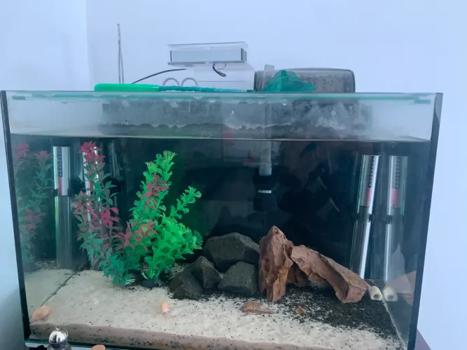 Aquário 30L