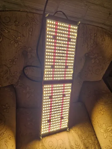 Painéis led cultivo indoor