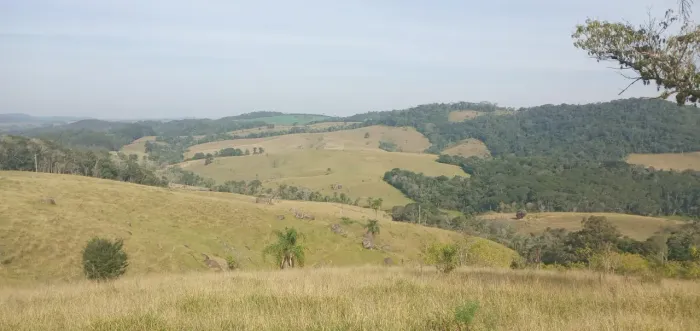 Fazenda 65 Alqueires, Rica em Água com 3 Açudes, Ótima Para Criação de Gado, Casas Sede e