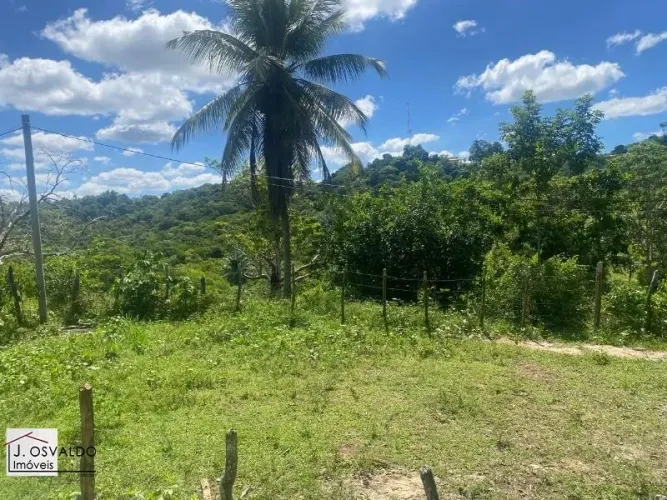FAZENDA RURAL em Santo Amaro - Bahia,