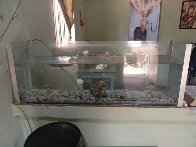 Aquário 67 Litros Usado - Ótimo Estado - Ideal para Peixes Ornamentais