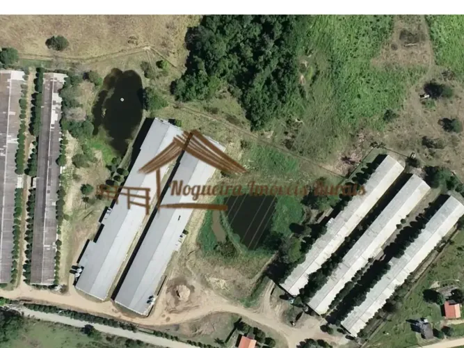 Sitio com granjas, 200 mil aves
