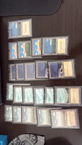 Magic the Gathering