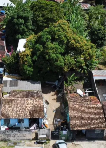 Terreno na Ferinha do Tabuleiro