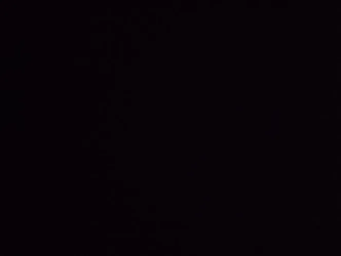 Respondo Seu WhatsApp e Organizo Seus Clientes Remotamente