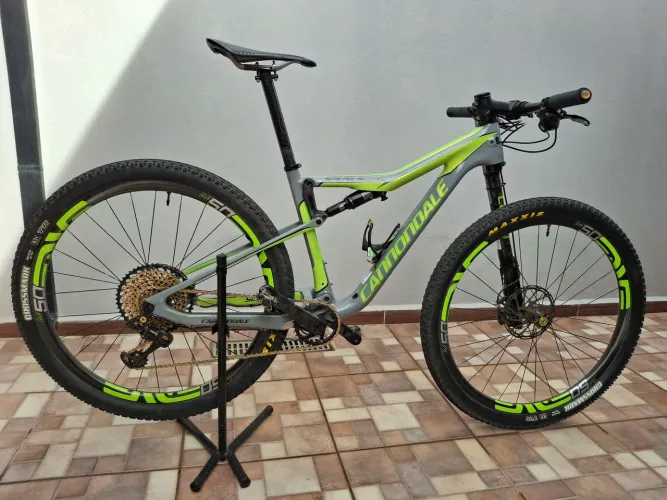 Cannondale Carbon Lefty