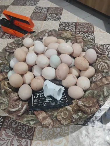 Ovos caipira