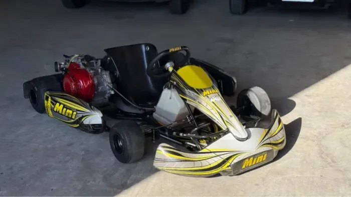 Kart Mini M2 - Ano 2017 - Motor Honda (F4)