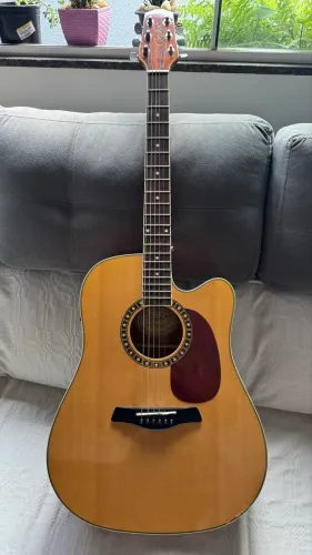 Violão de aço elétrico