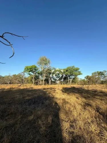 Fazenda de 41 alqueires com dupla aptidão em Rio Sono/TO