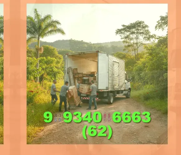 Frete: você precisa de transporte? Confira nossas opções!