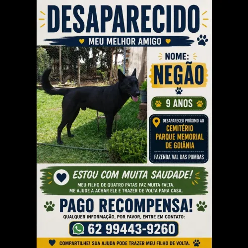 Desaparecido dou recompensa