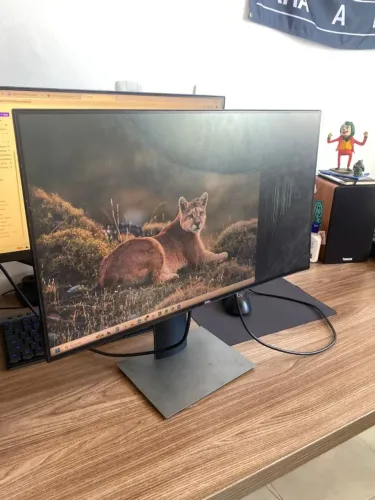 Monitor Dell (Display quebrado)