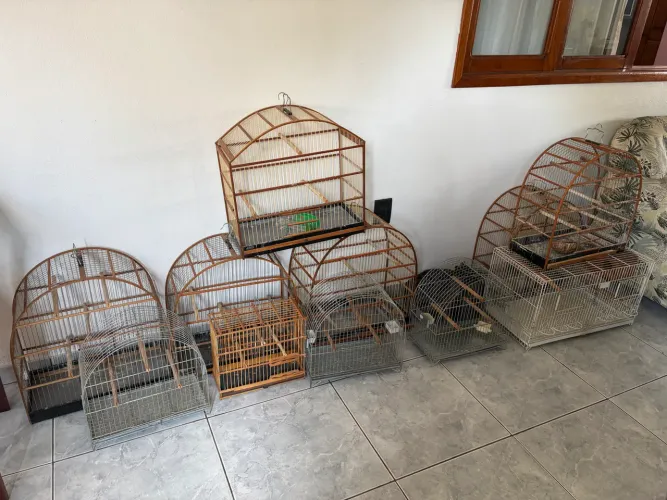 Vendo 10 gaiolas em perfeito estado
