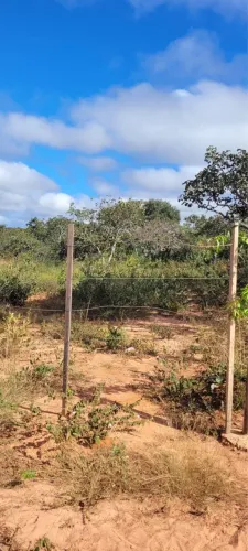 CHÁCARA 