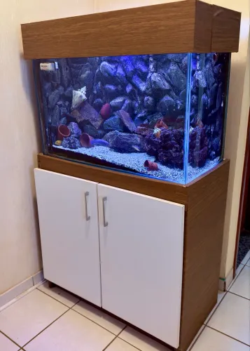 Aquário Completo 160 Litros + SUMP + Móvel - Pronto para Uso