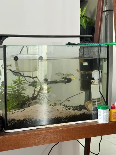Troco aquário de 50 litros por um maior