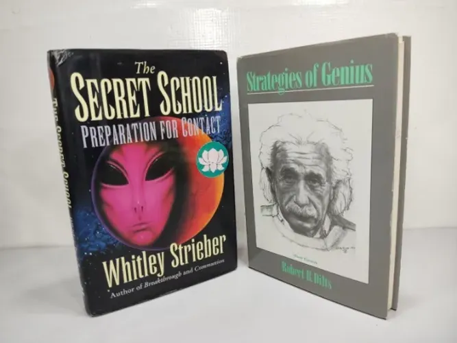 2 Livros Inglês The Secret School E Strategies Of Genius Hgw (Usado)