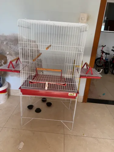 Gaiola calopsita aves