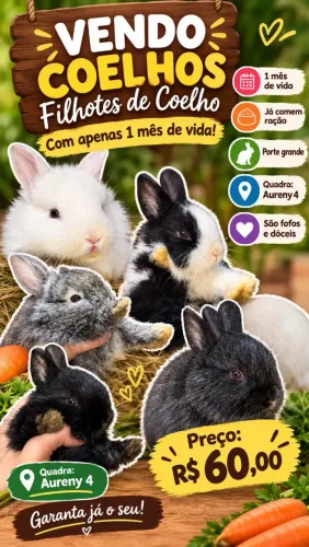 Vendo Filhotes de coelho