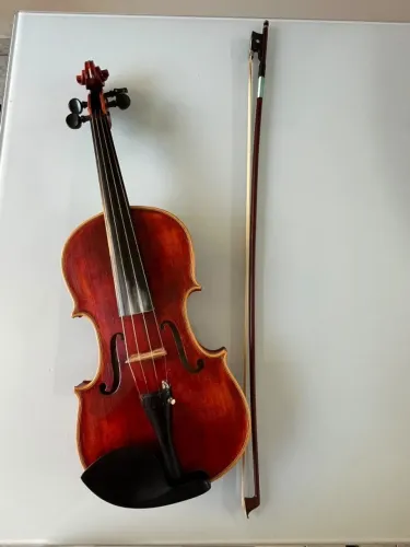 Violino Profissional Valtex Cardoso Trindade - Instrumento de Alto Nível