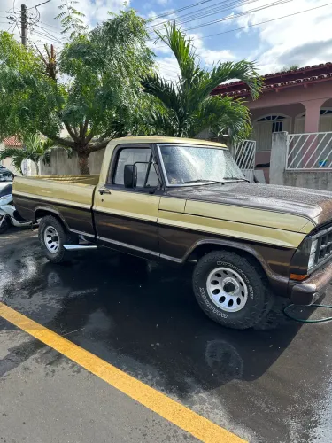 Ford F-1000 S. S. Diesel / S.s. Diesel Turbo 1985
