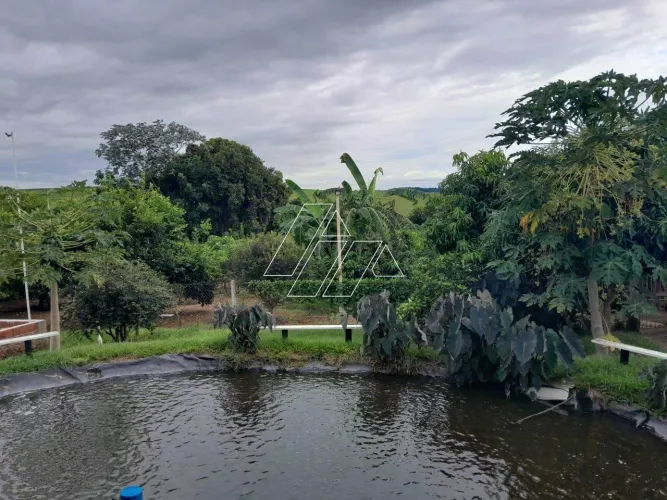 Chácara à Venda na Estância Vila Bela 2.900 m² com Lazer Completo!