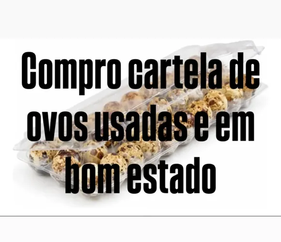 Cartela ovos de codorna