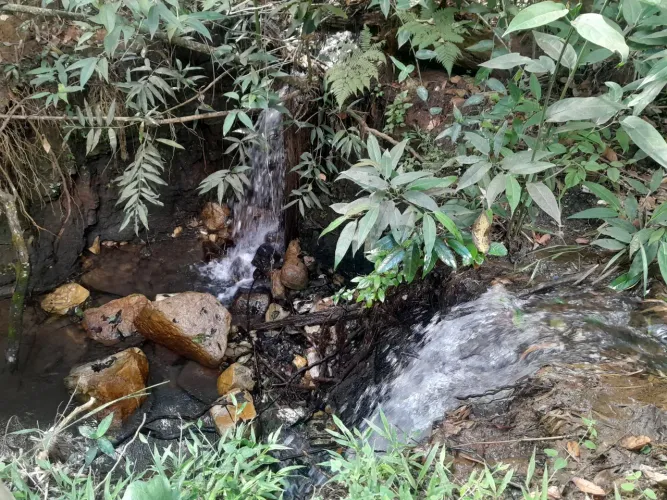 Chácara à Venda em Brasília-DF, SMLN MI 09  - Chácara Serrana - 2 hectares  