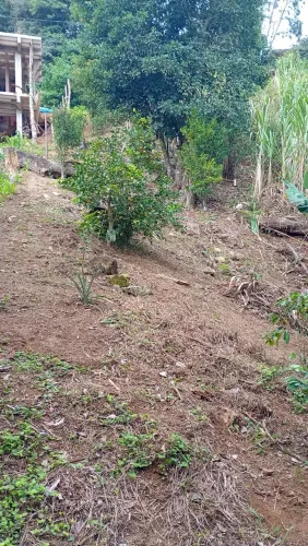 Ótima oportunidade para construir a casa dos seus sonhos