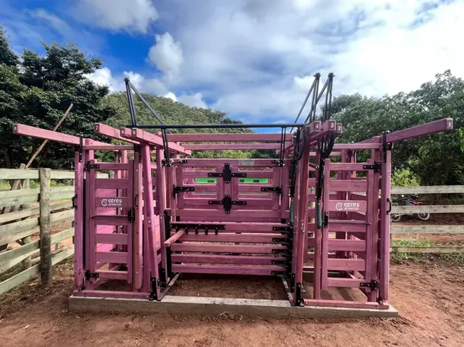 Brete de contenção e balança bovina.